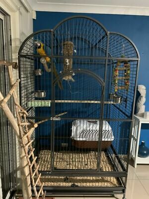 Large macaw cages for sale hot sale