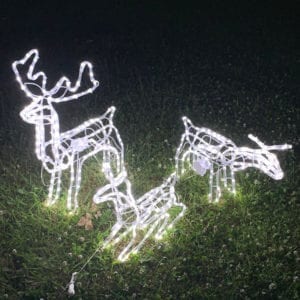 3D Motorised Deer Family Set of 3 LED Cool White Christmas Motif Rope Lights