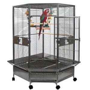 Black Vein 184cm Corner Parrot Aviary Bird Cage Perch Budgie On Wheels 8501