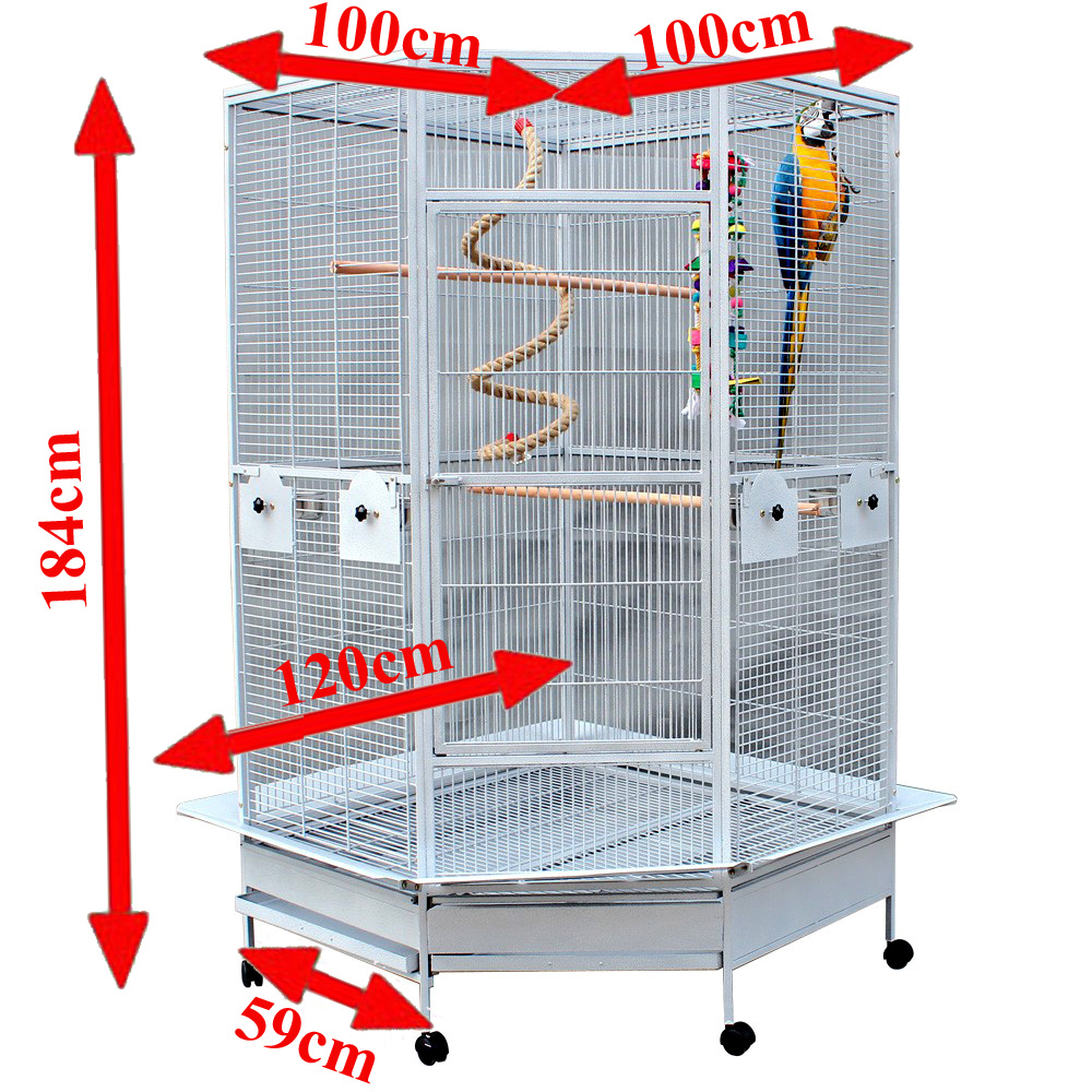 Corner clearance bird perch