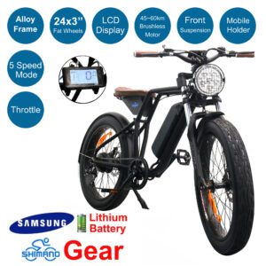 24'' Alloy Europea Vintage Electric Mountain Bike Ebike Fat Tyre Budtrol